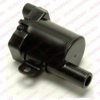 DELPHI GN10119 Ignition Coil